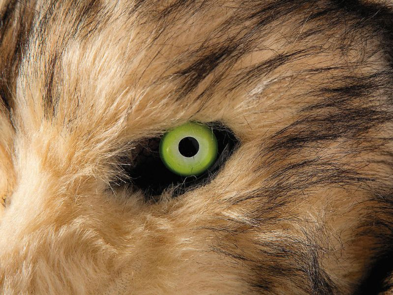 Adults Wolf Moving Mouth Overhead Mask