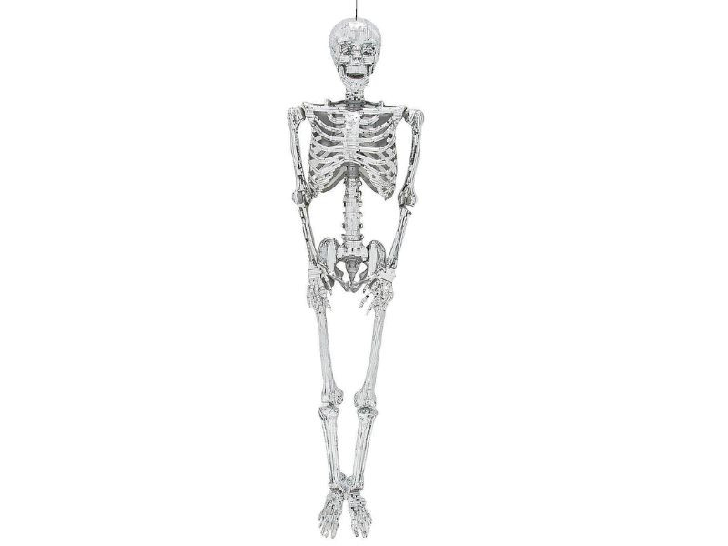 5 Ft Posable Skeleton - Disco Halloween Decoration