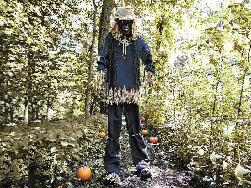 7 Ft. 6 In Light-Up Lifting Skeleton Scarecrow Halloween Decoration