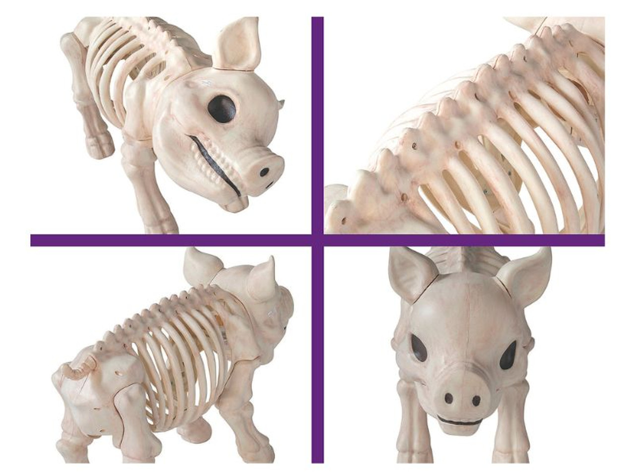 Standing Pig Skeleton - 24 1/4 In - Halloween Prop Decoration Standing Pig Skeleton - 24 1/4 In - Halloween Prop Decoration