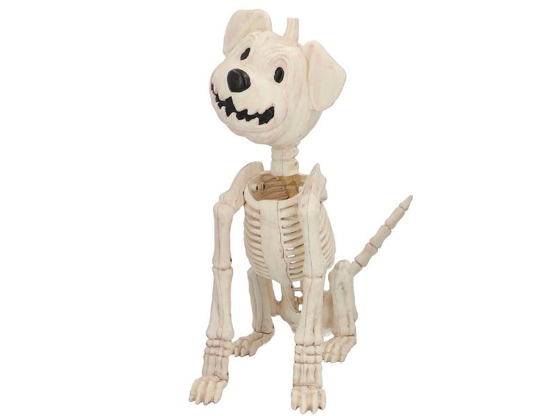 Pumpkin-Head Dog Skeleton - 24 1/4 In - Sitting Halloween Prop