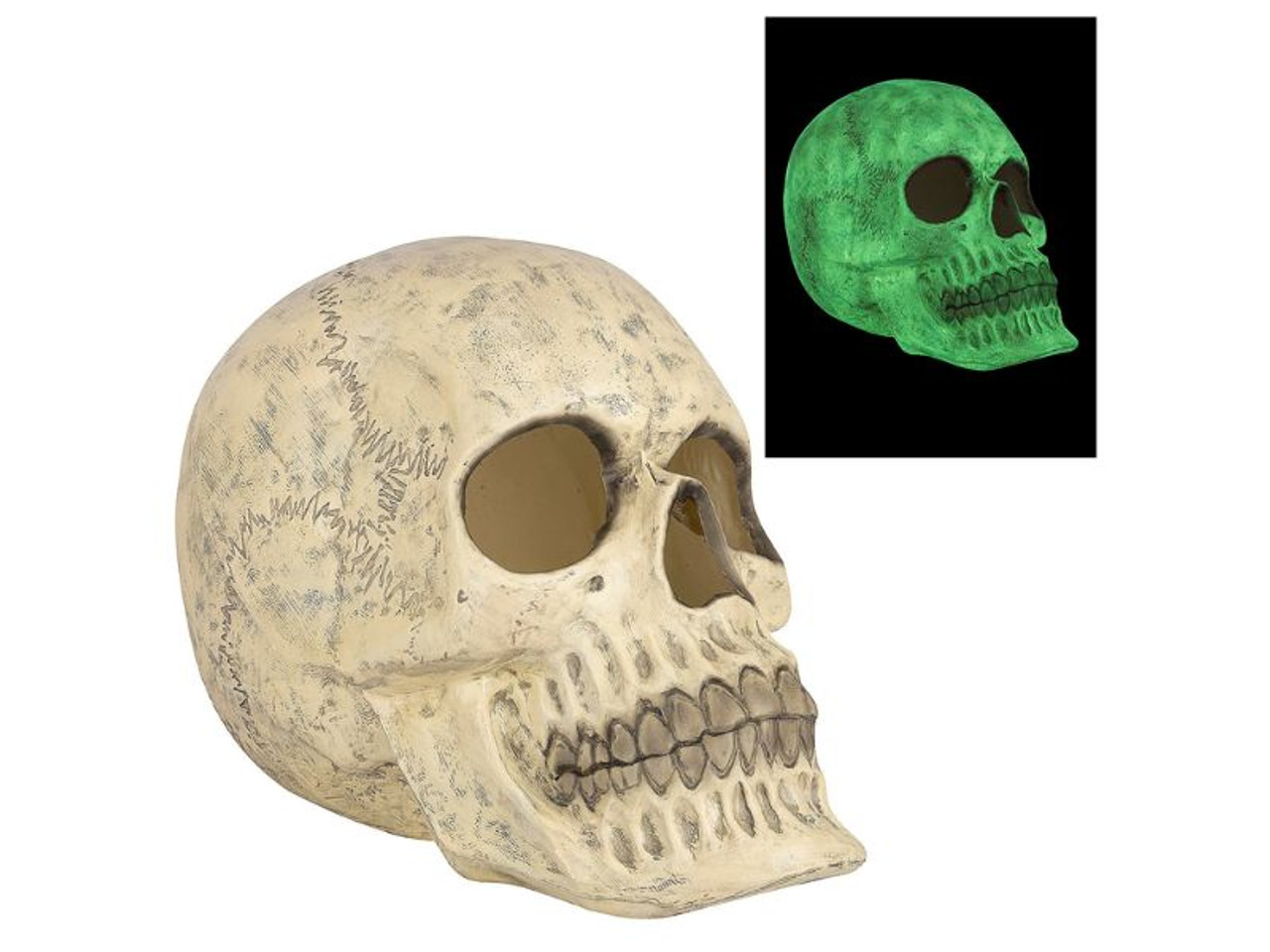 Glow-in-the-Dark Skull - 20 In - Halloween Tabletop Decoration