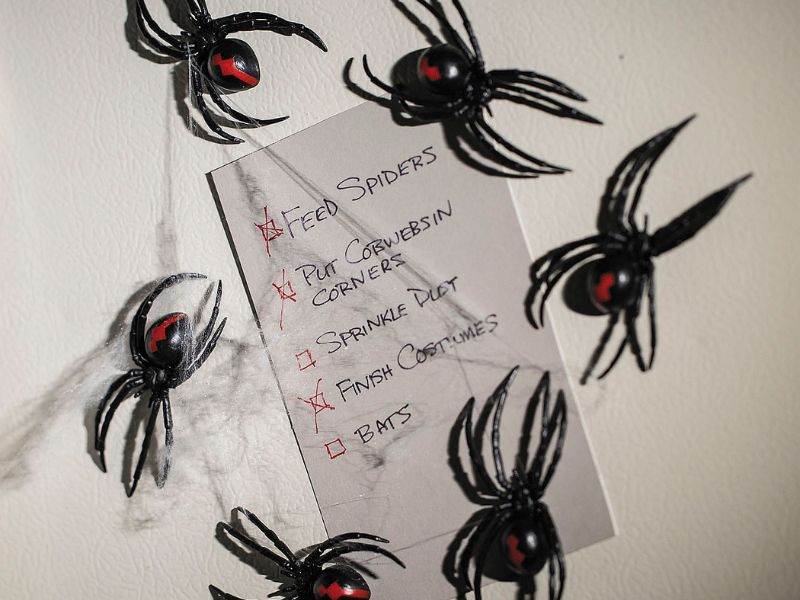set of 12 magnetic black widow spiders Halloween decorations