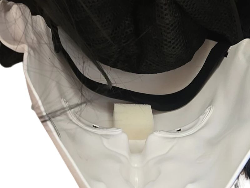 The Crow Halloween costume overhead mask