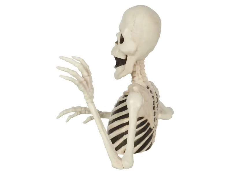 mini skeleton halloween decoration black white plastic