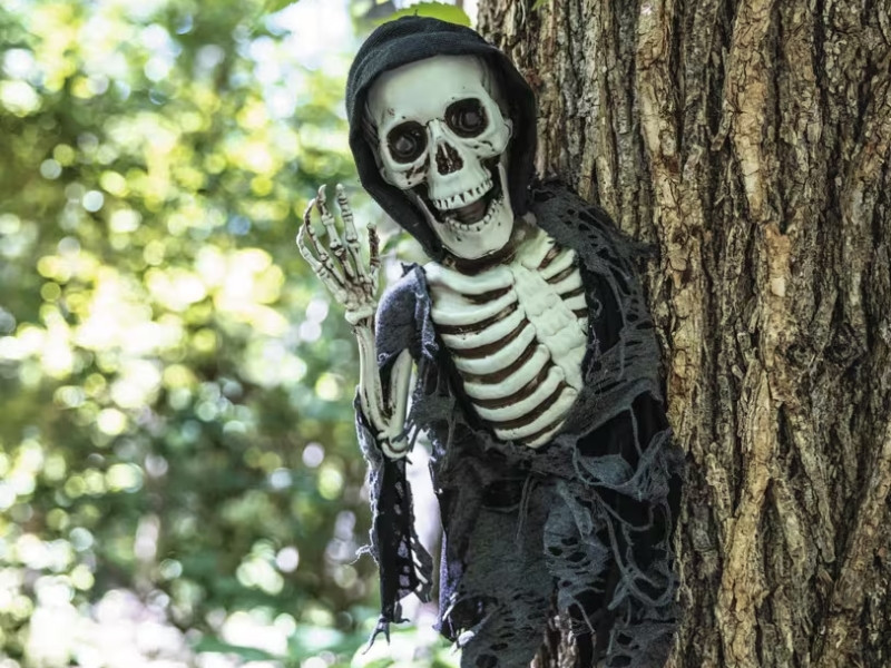 black hooded skeleton halloween decoration