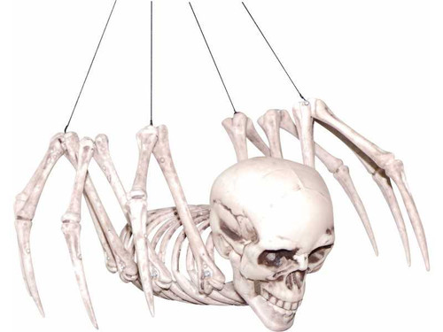 Spider Skeleton With Human Skull