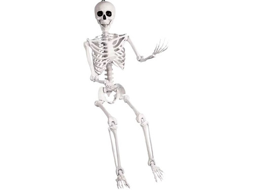 5 ft skeleton pose and hold Halloween decoration