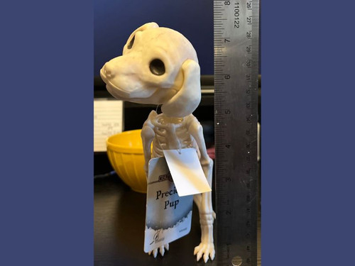 Puppy Dog Skeleton Puppy Dog Skeleton