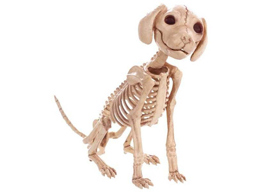 Puppy Dog Skeleton