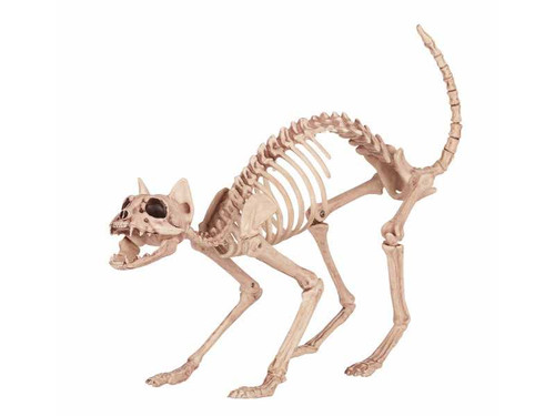 skeleton cat halloween decoration realistic