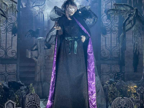 Life Size Witch Sorceress With Bird