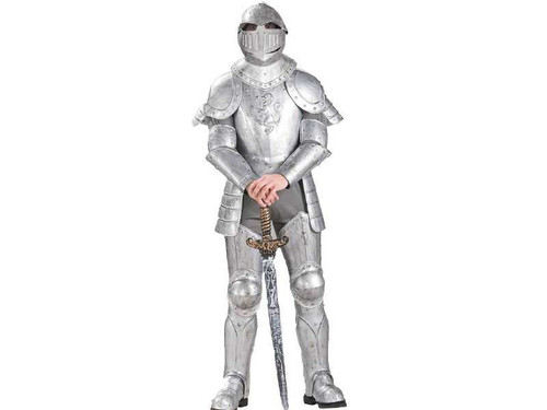 Knight In Shining Armour Costume