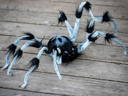 Gray and Black Hairy Walking Spider, 31 1/2"