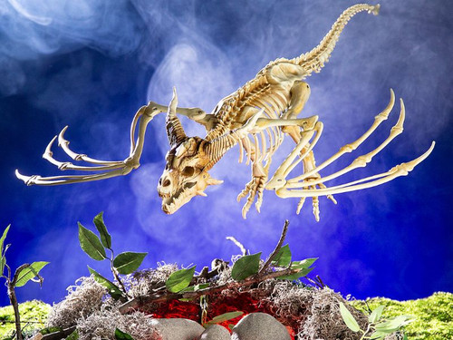 Hanging Pterosaur Dragon Skeleton, 35 1/4" x 11 3/4"
