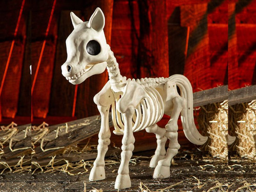 Standing Pony Plastic Skeleton