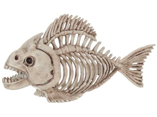 Skeleton Fish