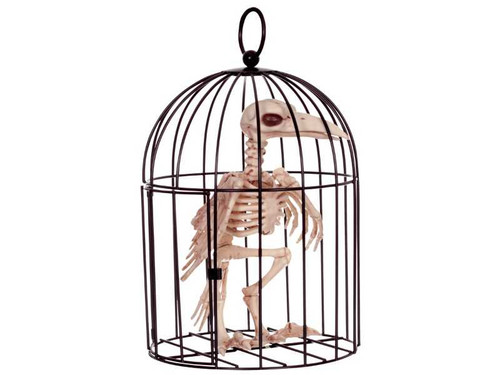 Skeleton Crow In Cage