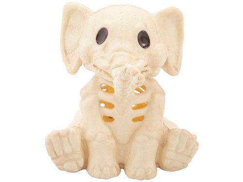 Elephant Skeleton