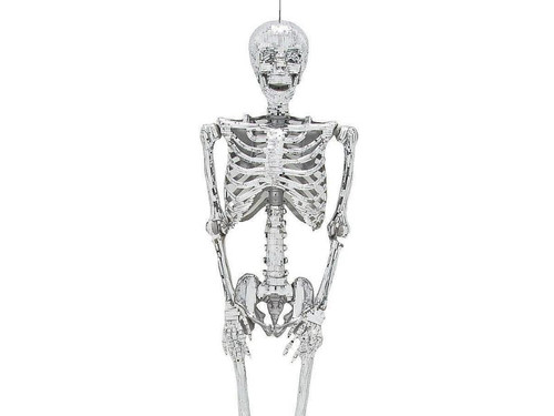 5 Ft Posable Skeleton - Disco Halloween Decoration