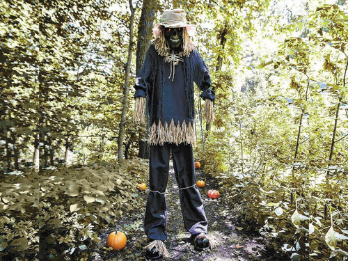 7 Ft. 6 In Light-Up Lifting Skeleton Scarecrow Halloween Decoration 7 Ft. 6 In Light-Up Lifting Skeleton Scarecrow Halloween Decoration