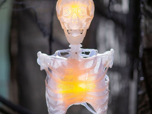 Hanging Skeleton Torso - 12 1/4 In - Light-Up Halloween Prop Hanging Skeleton Torso - 12 1/4 In - Light-Up Halloween Prop