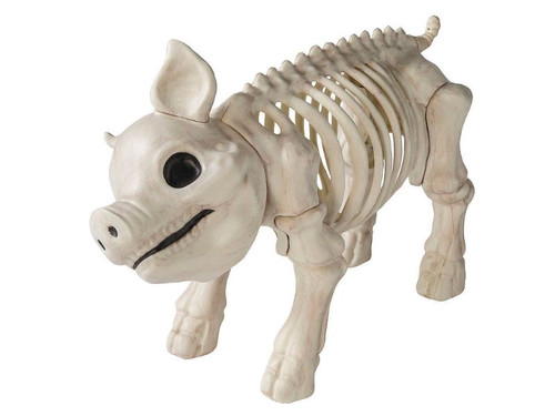 Standing Pig Skeleton - 24 1/4 In - Halloween Prop Decoration