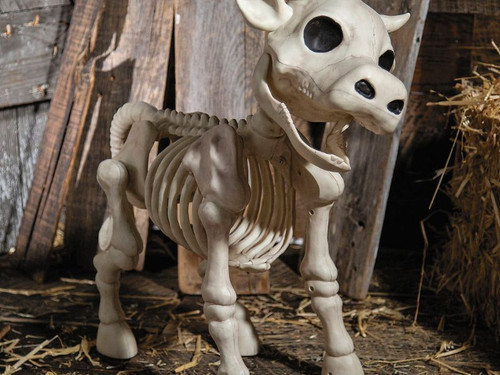 Cow Skeleton - 23 In Standing Prop - Halloween Decoration