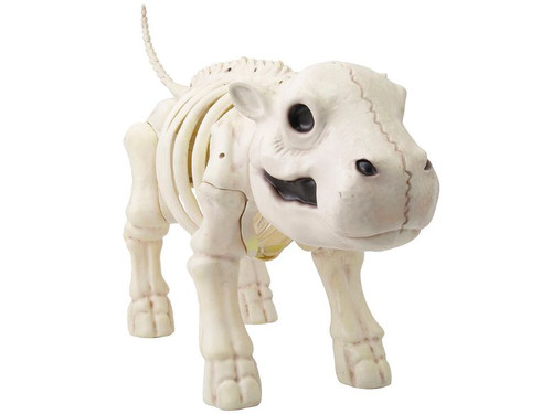 Hippo Skeleton - 22 In Standing Prop - Halloween Animal Decoration