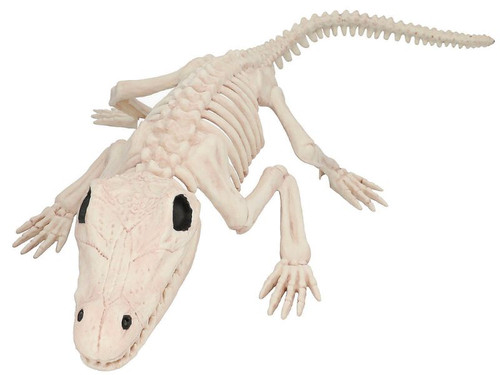 Crocodile Skeleton - 13 1/2 In - Plastic Halloween Decoration