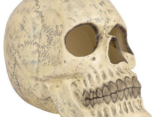 Glow-in-the-Dark Skull - 20 In - Halloween Tabletop Decoration