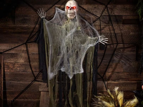 animated skeleton hanging in spider web