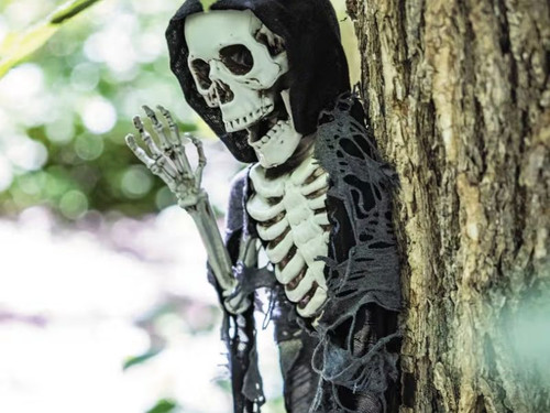hanging skeleton reaper wall decoration