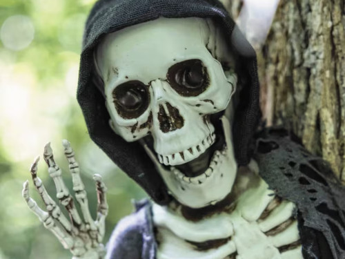 creepy skeleton wall hanging decor