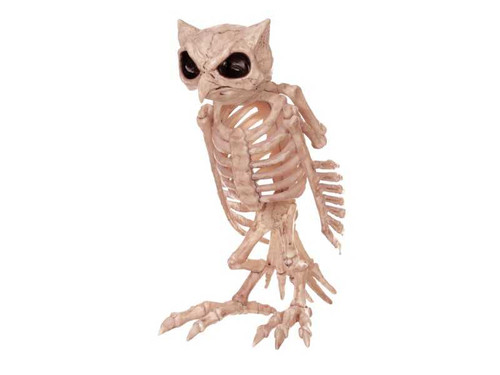 Skeleton Owl