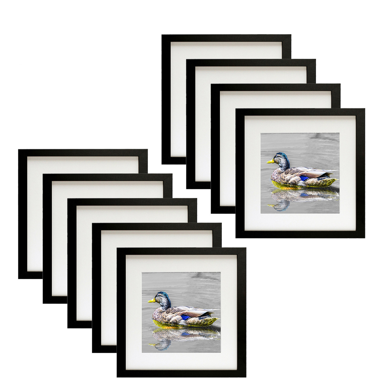 12x12 Frame for 8x8 Picture Black Aluminum (6 Pcs per Box)