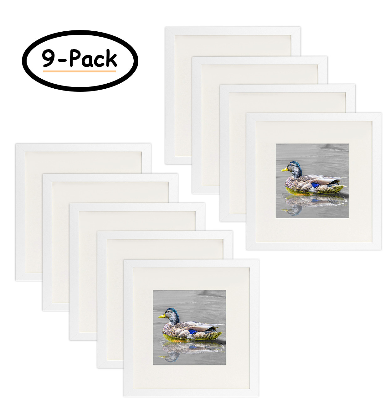 Framics 12x12 Picture Frame White Picture Frame 8x8 with Mat or 12x12 Without Mat for Tabletop and Wall Mounting 4 Pack