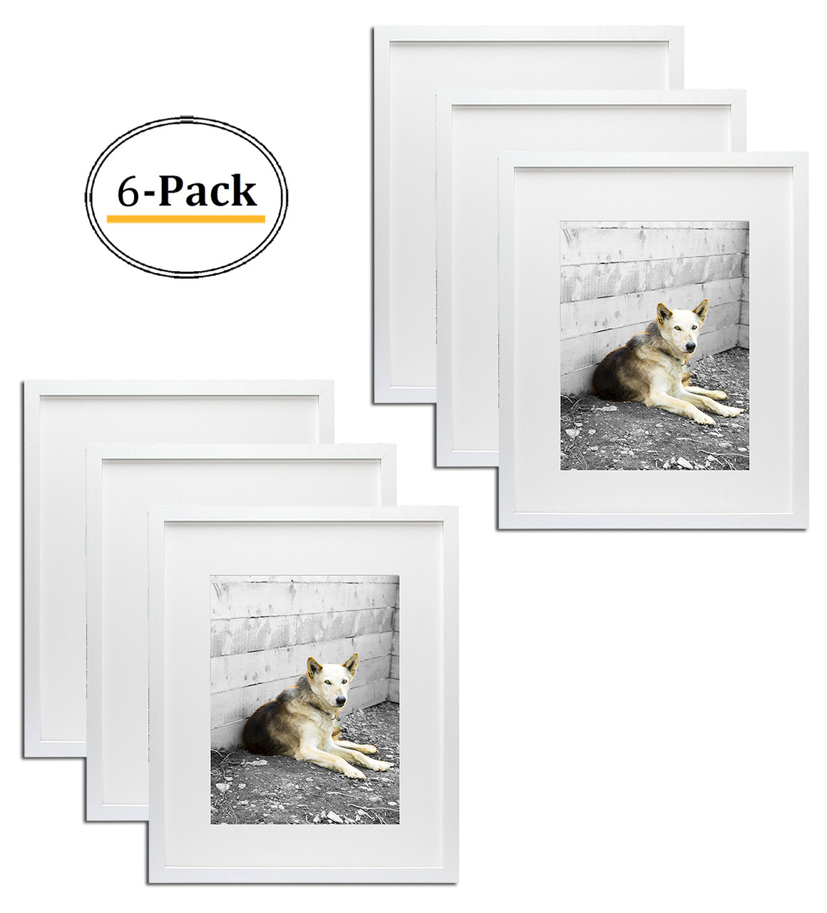 6 Pack 16x20 Gallery Wall Picture Frames Matted to 11x14 Photo