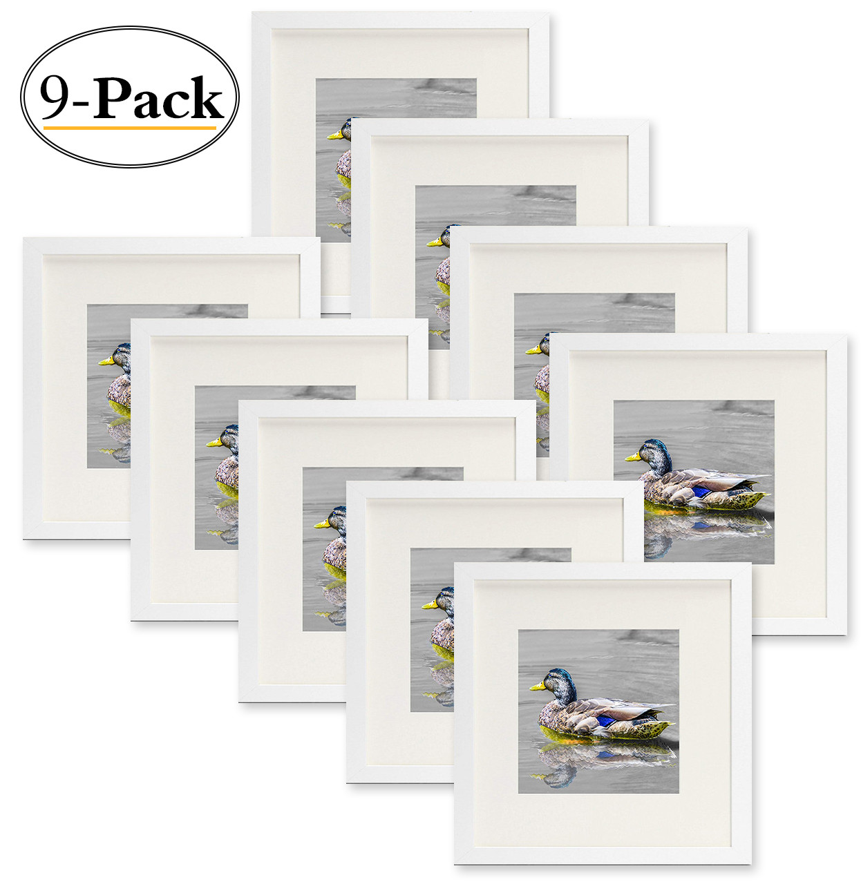 Golden State Art,12x12 White Wood 3/4 Frame for 8x8 Picture and