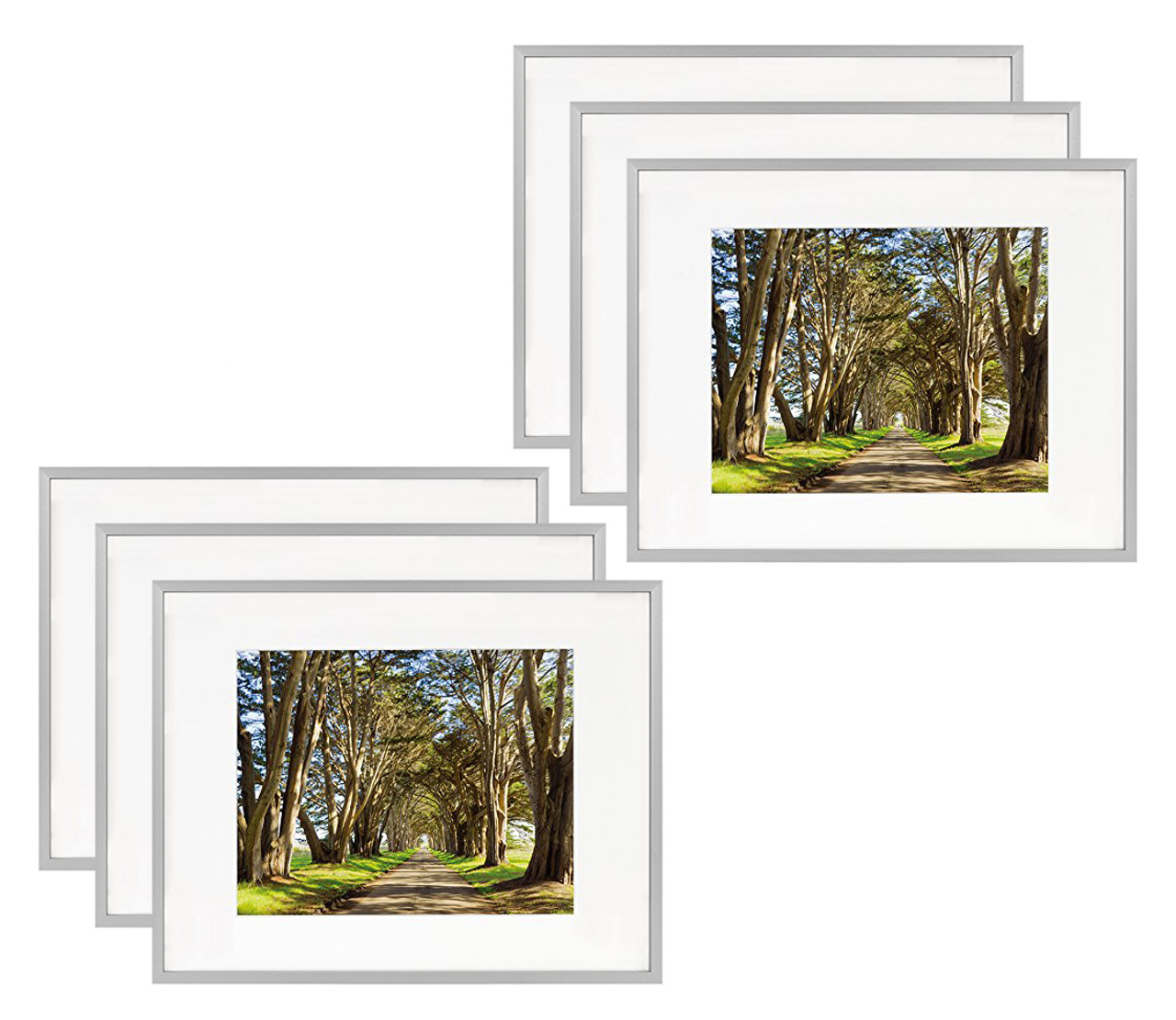 Set of 6 16x20 Picture Frames for 11x14 Photos Portraits Artwork with Ivory  Mat