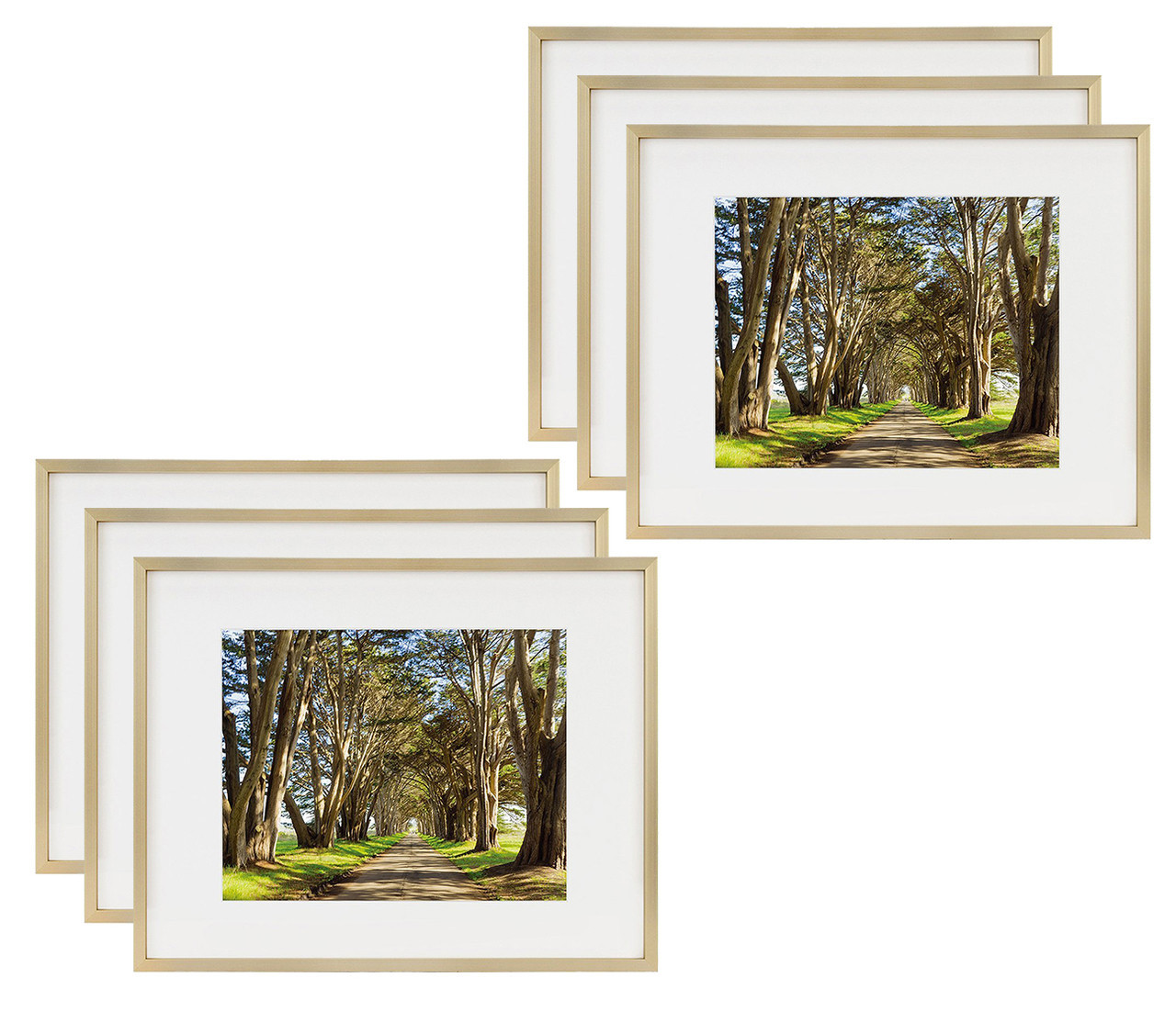 11x14 Frame for 8x10 Picture Gold Aluminum, Shiny Brushed (6 Pcs per Box)