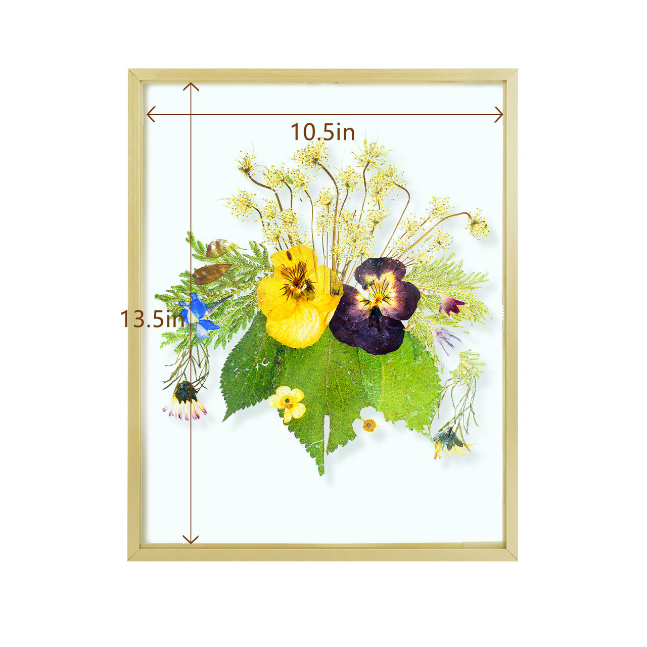 Framed Pressed Flowers, 11x14 Gold