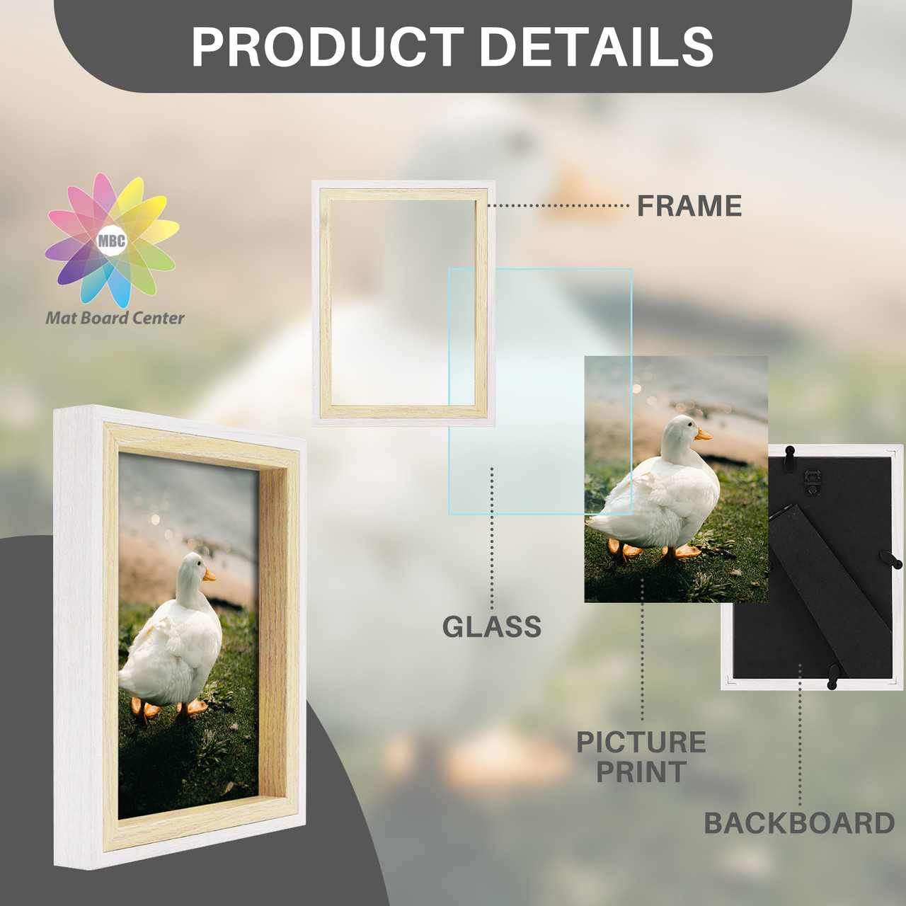  Mat Board Center, Pack of 5, 8x10 for 5x7 Photo
