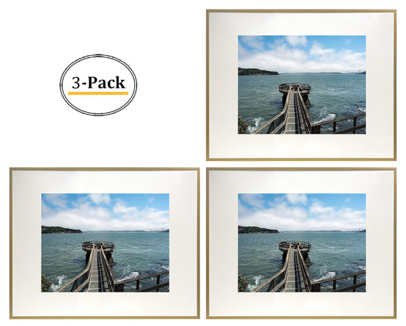 16x20 Frame for 11x14 Picture Gold Aluminum (3 Pcs per Box)