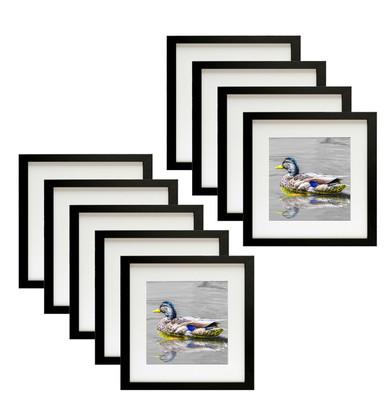 12x12 Frame for 8x8 Picture White Wood (9 Pcs per Box)