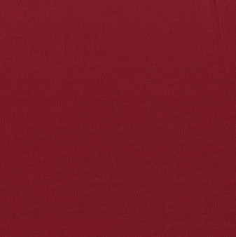 Painter's Palette Solids - Claret