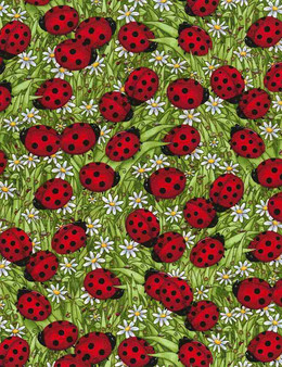 Ladybugs