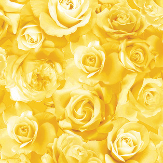 Flowers of Friendship || 1451033B ROSES IN BLOOM YELLOW || Sold by the yard