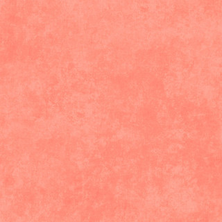 SALMON SHADOW PLAY