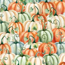 PLENTIFUL PUMPKINS MULTI